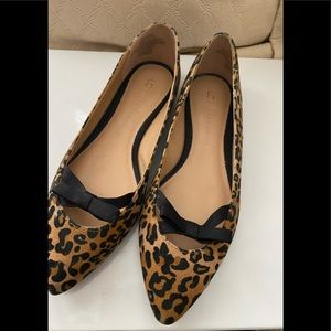 Lauren Conrad Leopard Flats